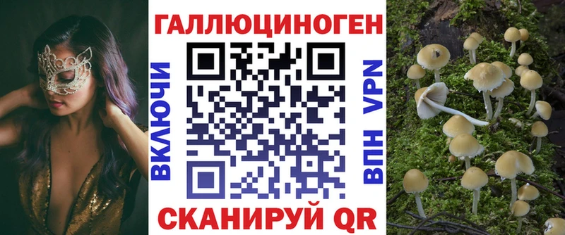 Галлюциногенные грибы Psilocybe  Шумиха 